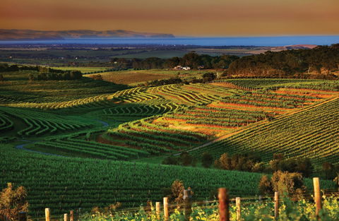 Mclaren Vale - Accommodation Brisbane 1