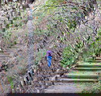 Princes Rock Walking Track - Accommodation Brisbane