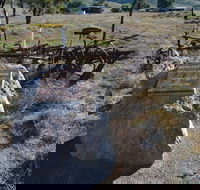 Wangaraleednie Monument  Ruins - Accommodation Brisbane
