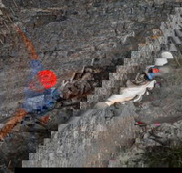 Small-Group Weekend Rock Climbing Adventure from Katoomba - Accommodation Brisbane