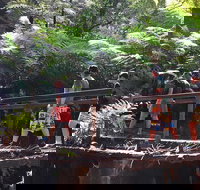 Glow Worm Tunnel Hike - Accommodation Brisbane