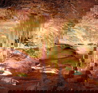 Jenolan Caves Ribbon Cave Tour - Accommodation Brisbane