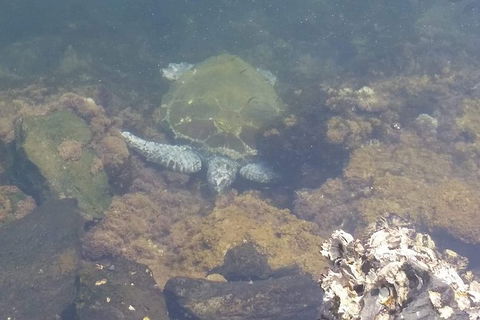 Sawtell To Coffs Harbour Bike Ride - Accommodation Brisbane 4