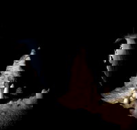 Jenolan Caves Extended Temple of Baal Cave Tour - Accommodation Brisbane