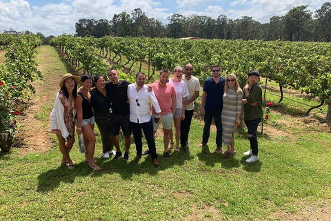 Hunter Valley Exclusive Kangaroo And Wine Tasting Experience - Accommodation Brisbane 6