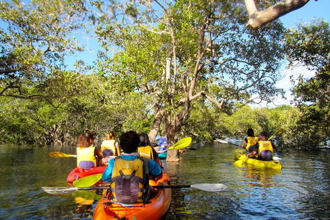 2-Hour Rental Kayak Double In Brunswick River - Accommodation Brisbane 2
