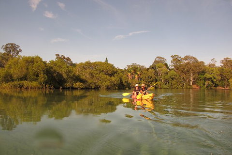 2-Hour Rental Kayak Double In Brunswick River - Accommodation Brisbane 5