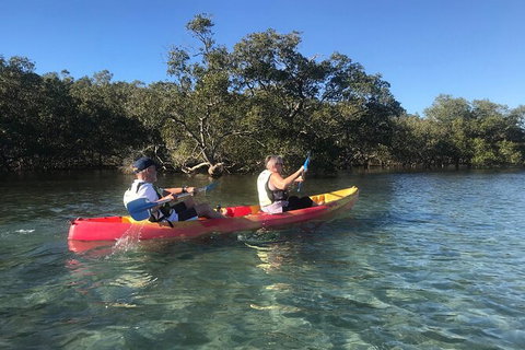 2-Hour Rental Kayak Double In Brunswick River - Accommodation Brisbane 4