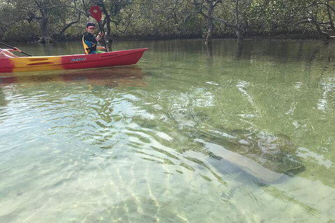 2-Hour Rental Kayak Double In Brunswick River - Accommodation Brisbane 6