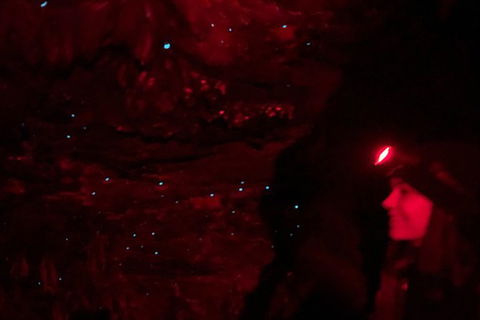 Night 4WD & Guided Glow Worm Tour Wildlife Spotlighting Blue Mountains Adventure - Accommodation Brisbane 6