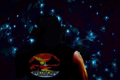 Night 4WD & Guided Glow Worm Tour Wildlife Spotlighting Blue Mountains Adventure - Accommodation Brisbane 0