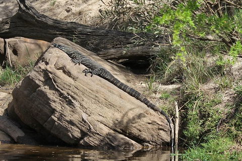 Wilderness Kayak Adventure With Gourmet Food - Accommodation Brisbane 6