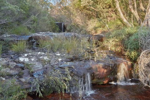Wilderness Kayak Adventure With Gourmet Food - Accommodation Brisbane 5