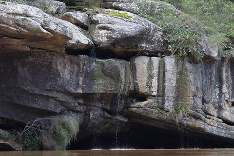 Wilderness Kayak Adventure With Gourmet Food - Accommodation Brisbane 1