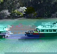 Byron Bay Rainforest Eco-Cruise - Accommodation Brisbane