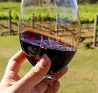 Wine Tasting in Canberra Region - Accommodation Brisbane