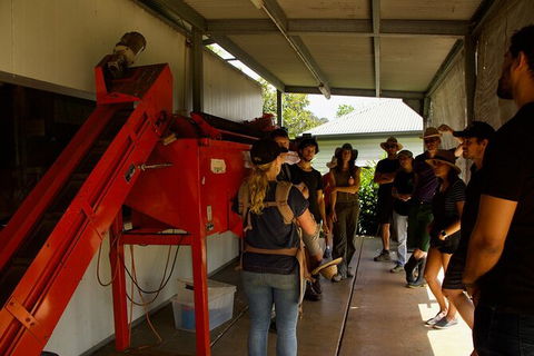 Pecan Farm Tour And Workshop, Byron Bay Hinterland - Accommodation Brisbane 4