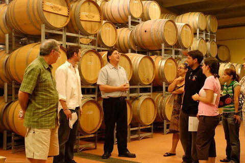 Hunter Valley Small Group Luxury Wine Tasting Tour From Sydney - Accommodation Brisbane 7