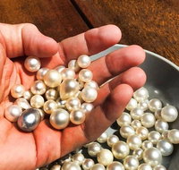 Australian Pearl Experience  Kangaroo Encounter Day Trip from Sydney - Accommodation Brisbane