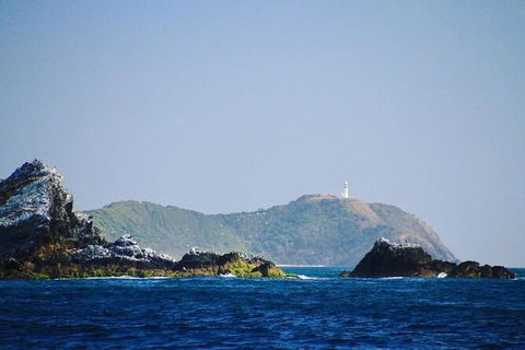 Julian Rocks Byron Bay Cruise - Accommodation Brisbane 2