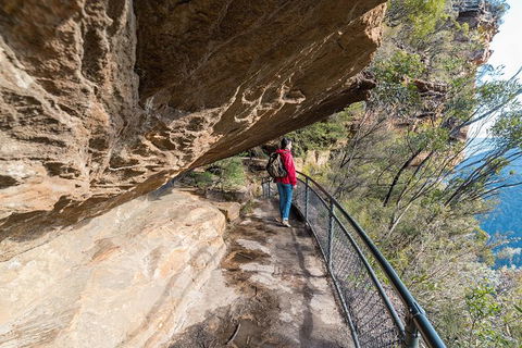 Blue Mountains Highlights & Wildlife Park - Accommodation Brisbane 0