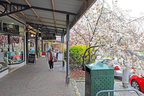 Blue Mountains Highlights & Wildlife Park - Accommodation Brisbane 2