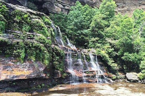 Blue Mountains Highlights & Wildlife Park - Accommodation Brisbane 8