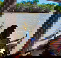 Jumping Crocs  Nature Adventure Cruise from Darwin - Accommodation Brisbane