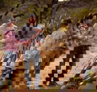 Karrke Aboriginal Cultural Experience - Accommodation Brisbane