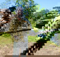Kakadu  Arnhem Land tour Camping tour - Accommodation Brisbane