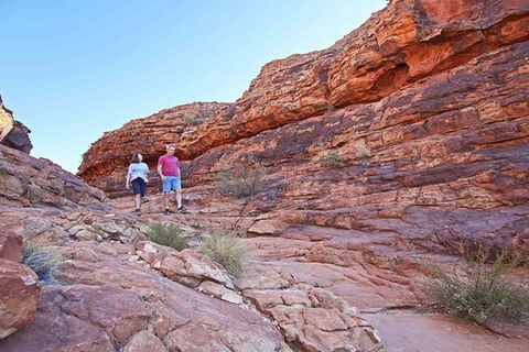 The Amazing Kings Canyon: 4-Hours Walking Tour And Hike - Accommodation Brisbane 0