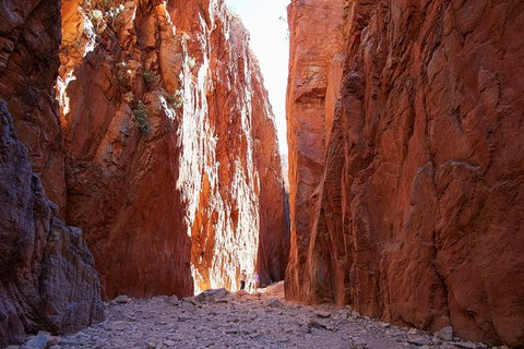 Best Of Alice Springs Full Day Tour - Accommodation Brisbane 6