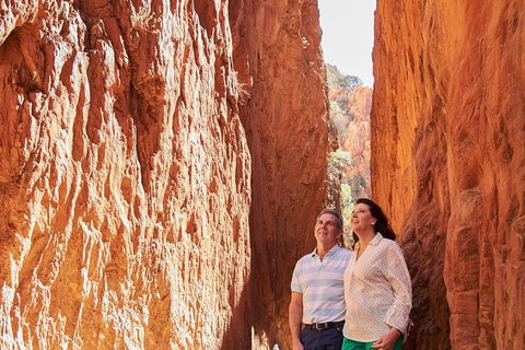 Best Of Alice Springs Full Day Tour - Accommodation Brisbane 4