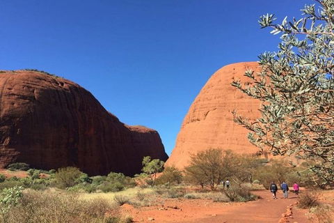 5-Hour Kata Tjuta Sunrise Tour From Ayers Rock With Breakfast - Accommodation Brisbane 2