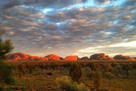 5-Hour Kata Tjuta Sunrise Tour From Ayers Rock With Breakfast - Accommodation Brisbane 0