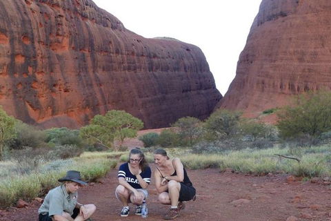 5-Hour Kata Tjuta Sunrise Tour From Ayers Rock With Breakfast - Accommodation Brisbane 3