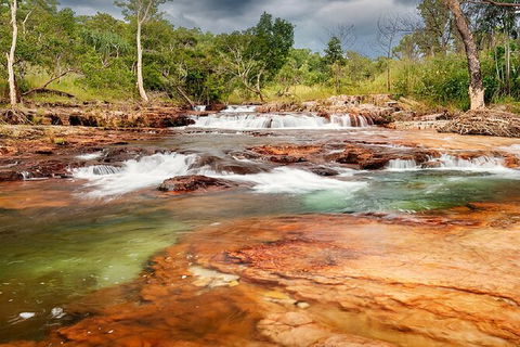 Full-Day Private Guided Tour To Litchfield National Park - Accommodation Brisbane 14