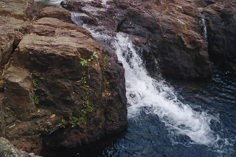 Full-Day Private Guided Tour To Litchfield National Park - Accommodation Brisbane 8