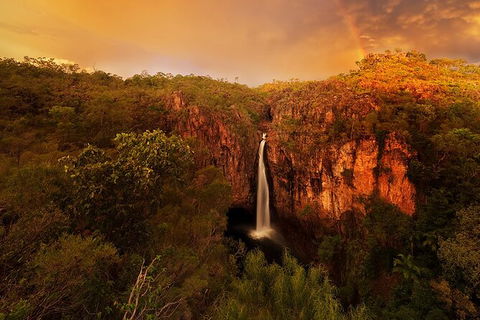 Full-Day Private Guided Tour To Litchfield National Park - Accommodation Brisbane 20