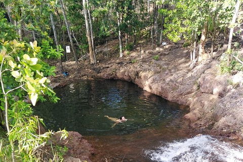Full-Day Private Guided Tour To Litchfield National Park - Accommodation Brisbane 18