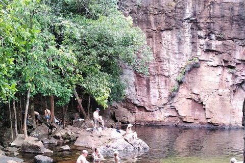 Full-Day Private Guided Tour To Litchfield National Park - Accommodation Brisbane 16