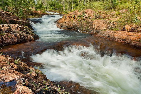 Full-Day Private Guided Tour To Litchfield National Park - Accommodation Brisbane 3