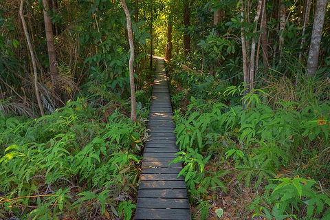 Full-Day Private Guided Tour To Litchfield National Park - Accommodation Brisbane 7