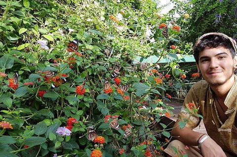 Full-Day Private Guided Tour To Litchfield National Park - Accommodation Brisbane 17