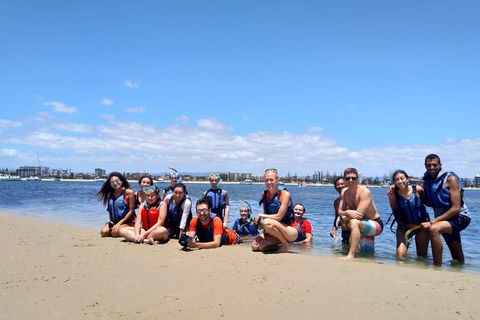 Half Day Dolphin Kayaking And Snorkeling Tour - Accommodation Brisbane 9