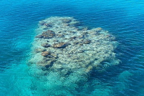 Lady Musgrave Day Trip From Bundaberg Including Snorkeling, Glass Bottom Tour And Guided Island Walk - Accommodation Brisbane 2