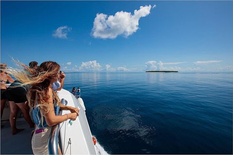 Lady Musgrave Day Trip From Bundaberg Including Snorkeling, Glass Bottom Tour And Guided Island Walk - Accommodation Brisbane 4