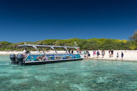 Lady Musgrave Day Trip From Bundaberg Including Snorkeling, Glass Bottom Tour And Guided Island Walk - Accommodation Brisbane 5