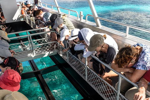 Lady Musgrave Day Trip From Bundaberg Including Snorkeling, Glass Bottom Tour And Guided Island Walk - Accommodation Brisbane 3
