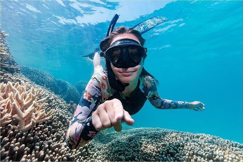 Lady Musgrave Day Trip From Bundaberg Including Snorkeling, Glass Bottom Tour And Guided Island Walk - Accommodation Brisbane 1